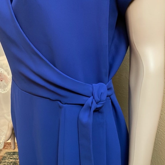 Blue Dress - Picture 13 of 16